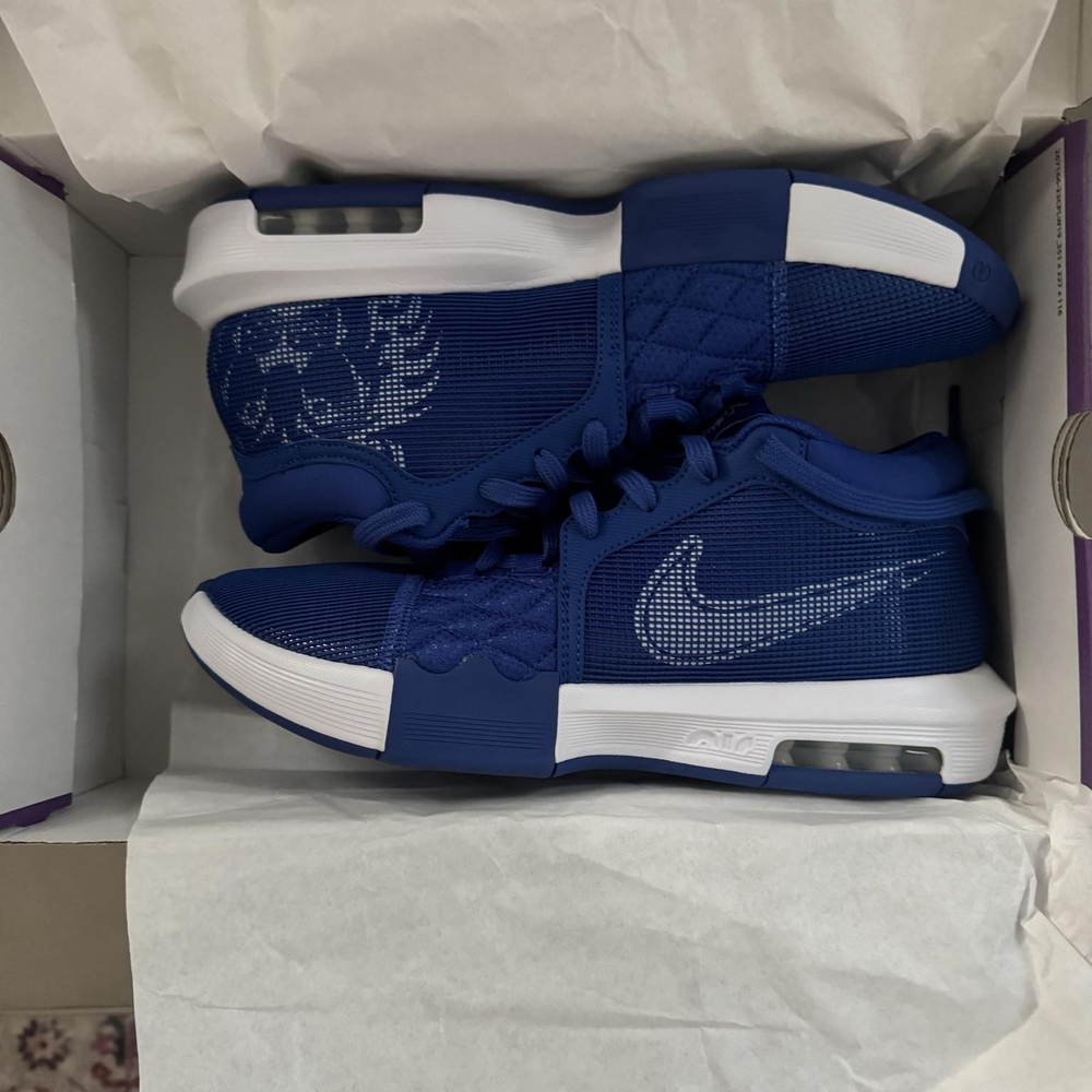 Nike Blue LBJ Witness VIII Tag